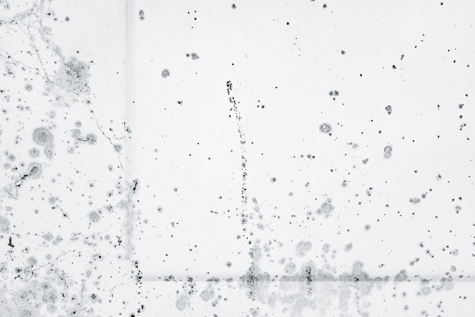 Dark mold spots spreading across a white wall